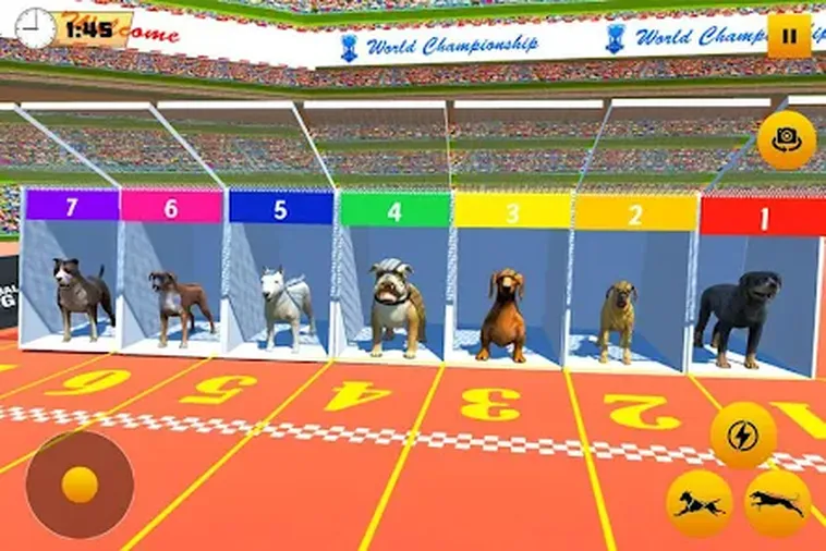 Cách Chơi Game Nhanh Đua Chó Tại Fun88 Hấp Dẫn Cho Tân Thủ
