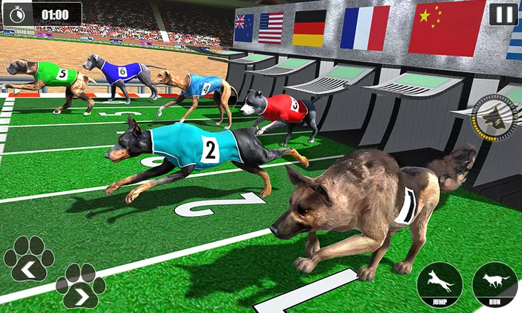 Cách Chơi Game Nhanh Đua Chó Tại Fun88 Hấp Dẫn Cho Tân Thủ