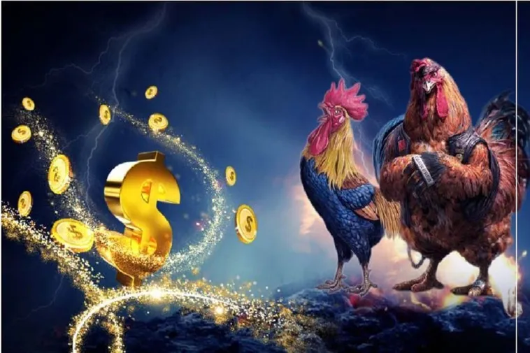 Cách Chơi Đá Gà WS168 Tại Fun88 Nhanh Chóng Dành Cho Tân Thủ